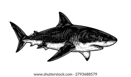 Vintage engraved woodcut shark. Vector stock