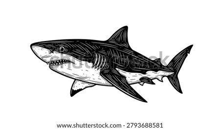 Vintage engraved woodcut shark. Vector stock