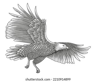 Vintage Engraving of Bald eagle, vector Illustration