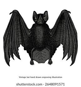 Ilustração de morcego de gravura vintage - Clipart de morcego desenhado à mão para Halloween, decoração gótica e projetos de natureza