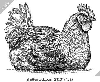 Vintage engraving isolated chicken set illustration rooster ink sketch. Farm fowl background hen bird silhouette cock art. Black and white hand drawn vector image