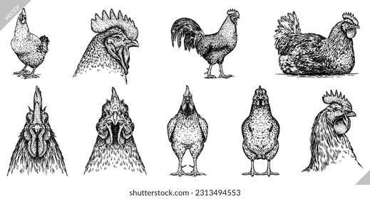 Vintage engraving isolated chicken set illustration rooster ink sketch. Farm fowl background hen bird silhouette cock art. Black and white hand drawn vector image