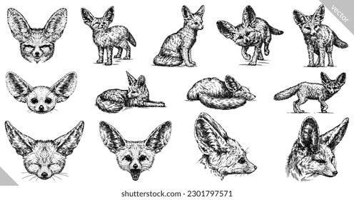 Vintage engraving isolated fennec set illustration ink sketch. Fox background fenech animal silhouette art. Black and white hand drawn vector image