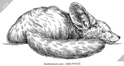 Vintage engraving isolated fennec set illustration ink sketch. Fox background fenech animal silhouette art. Black and white hand drawn vector image