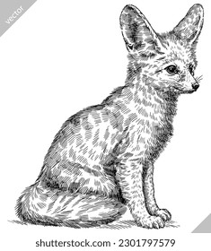 Vintage engraving isolated fennec set illustration ink sketch. Fox background fenech animal silhouette art. Black and white hand drawn vector image