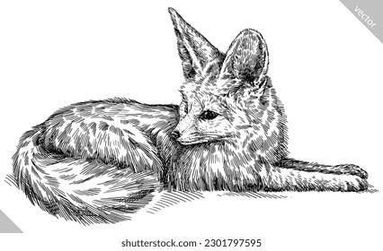 Vintage engraving isolated fennec set illustration ink sketch. Fox background fenech animal silhouette art. Black and white hand drawn vector image