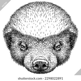 Vintage engraving isolated honey badger set illustration ink vector sketch. Ratel background tropical animal silhouette art. Black and white hand drawn image.