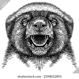 Vintage engraving isolated honey badger set illustration ink vector sketch. Ratel background tropical animal silhouette art. Black and white hand drawn image.