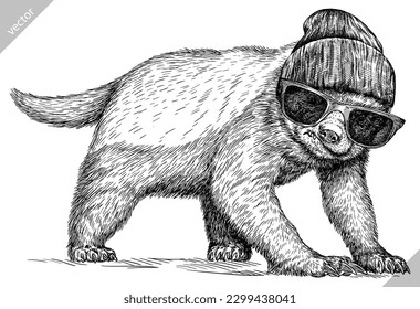 Vintage engraving isolated honey badger set glasses dressed fashion illustration ink costume sketch. Ratel background tropical animal silhouette sunglasses hipster hat art. Hand drawn vector image.