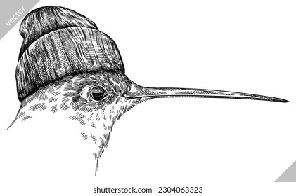 Vintage engraving isolated hummingbird glasses dressed fashion illustration ink humming costume sketch. Bird background colibri tropical silhouette sunglasses hipster hat art. Hand drawn vector image.