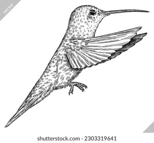 Vintage engraving isolated hummingbird set illustration ink humming sketch. Bird background colibri tropical silhouette art. Black and white hand drawn vector image.