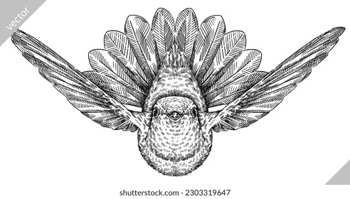Vintage engraving isolated hummingbird set illustration ink humming sketch. Bird background colibri tropical silhouette art. Black and white hand drawn vector image.