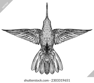 Vintage engraving isolated hummingbird set illustration ink humming sketch. Bird background colibri tropical silhouette art. Black and white hand drawn vector image.