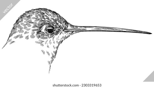 Vintage engraving isolated hummingbird set illustration ink humming sketch. Bird background colibri tropical silhouette art. Black and white hand drawn vector image.