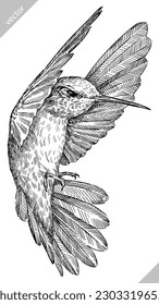 Vintage Gravur einzelne Kolibris Set Illustration Tinte summen Skizze. Vogel Hintergrund colibri tropische Silhouette Kunst. Schwarz-Weiß handgezeichnet Vektorbild.