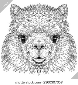 Vintage engraving isolated lama set illustration ink vector sketch. Alpaca background America animal silhouette art. Black and white hand drawn image.