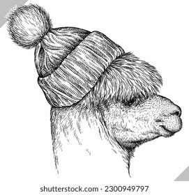 Vintage engraving isolated lama set glasses dressed fashion illustration ink costume sketch. Alpaca background America animal silhouette sunglasses hipster hat art. Vector hand drawn image.