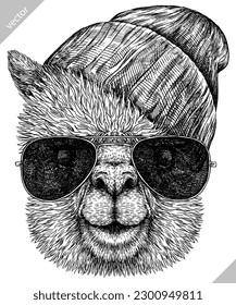 Vintage engraving isolated lama set glasses dressed fashion illustration ink costume sketch. Alpaca background America animal silhouette sunglasses hipster hat art. Vector hand drawn image.