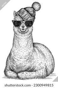 Escándalos de lama aislados de grabado vintage gafas de lentes vestidos de ilustración de moda boceto de tintas. Fondo de la Alpaca América silueta animal gafas de sol sombrero hipster arte. Imagen dibujada a mano por vectores.