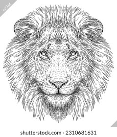 Esbozo de tinta con grabado de león aislado King set ilustración. África fondo de gato salvaje arte arte de silueta animal. Imagen vectorial dibujada a mano negra y blanca