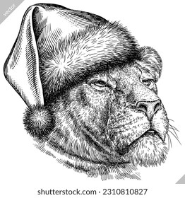 Vintage engraving isolated lion king set dressed christmas illustration ink santa costume sketch. Africa wild cat background animal silhouette new year hat art. Black and white hand drawn vector image