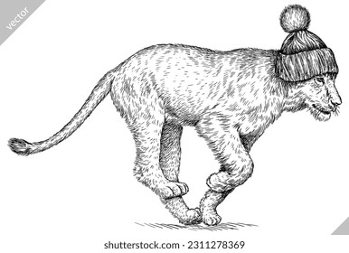 Vintage engraving isolated lion king set glasses dressed fashion illustration ink sketch. Africa wild cat background animal silhouette sunglasses hipster hat art. Hand drawn vector image