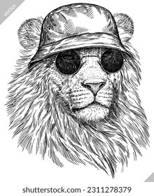 Vintage engraving isolated lion king set glasses dressed fashion illustration ink sketch. Africa wild cat background animal silhouette sunglasses hipster hat art. Hand drawn vector image