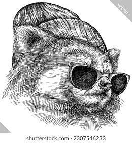 Vintage engraving isolated red panda set  glasses dressed fashion illustration ink costume sketch  Chinese bear background animal silhouette sunglasses hipster hat art  Hand drawn vector image