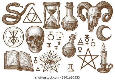 Vintage engraving style illustration showcasing occultism symbols like skull snake and alchemical equipment