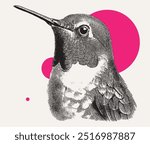 Vintage engraving style vector illustration of a flying hummingbird