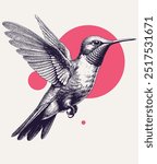 Vintage engraving style vector illustration of a flying hummingbird