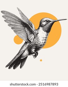 Vintage engraving style vector illustration of a flying hummingbird