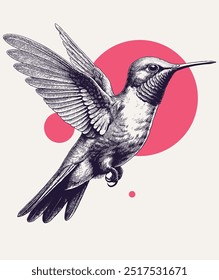 Ilustración vectorial de estilo de grabado de Antiguas de un colibrí volador