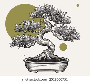 Vintage engraving style vector illustration of Japanese tree art bonsai in a ceramic bonsai pot