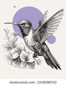 Vintage engraving style vector illustration of a flying hummingbird