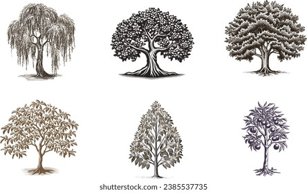 Vintage engravings tree Illustration Set.