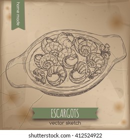 Vintage escargots dish sketch placed on old paper background. Great for restaurant, cafe, menu, recipe books, food label design. 