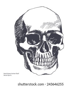 Vintage ethnic hand drawn human skull can be used as a greeting card