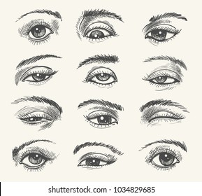 Vintage eyes. Vector human eye set old drawing for medicine and cosmetic illustrations in retro engraved style