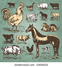 Vintage farm animals drawings set, vector illustration. Livestock and poultry icons. Retro engraving style elements for your design.