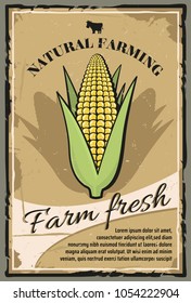 Vintage Farm Poster. Farm fresh organic products signs collection. Retro card. Farming vector illustration