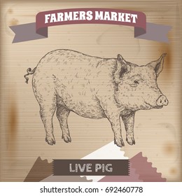 Vintage farmers market label with live pig. Placed on wooden texture. Includes hand drawn elements.