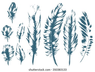 Vintage Feather blue vector set. Hand-drawn illustration. EPS