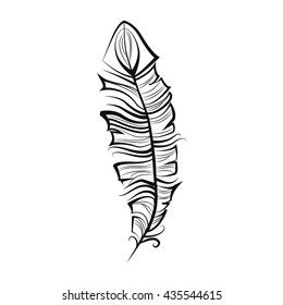 Vintage feather isolated on white background Hand drawn vector illustration. Template for your design