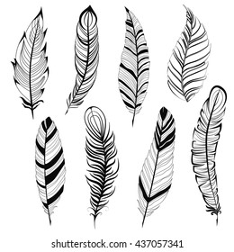 Vintage feather isolated on white background Hand drawn vector illustration. Template for your design