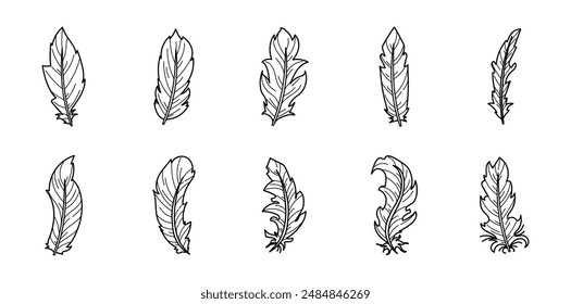Vintage Feather Set Collection Bundle