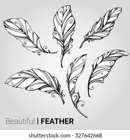 Vintage feather set. Hand drawn vector illustration