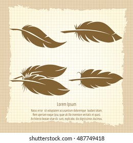 Vintage feather set on notebook page in retro design vector illustration