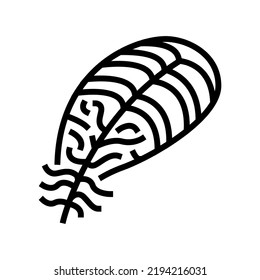 vintage feather soft fluffy line icon vector. vintage feather soft fluffy sign. isolated contour symbol black illustration
