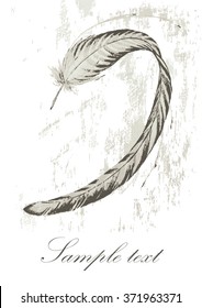 Vintage feather with text